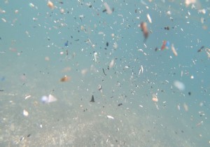 Antalya k�y�lar�nda mikroplastik alarm�