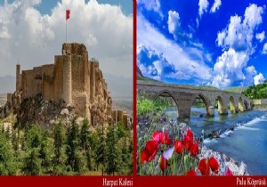 Prof.Dr. Mehmet Kaya/ Kltr- Eitim- Bilgilendirme