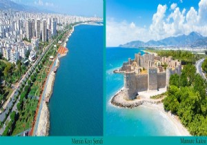 Prof.Dr. Mehmet Kaya/ Kltr- Eitim- Bilgilendirme