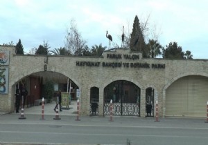 Dar�ca Hayvanat Bah�esi kapat�ld� 